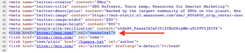 canonical tag